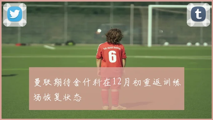 曼联期待舍什科在12月初重返训练场恢复状态