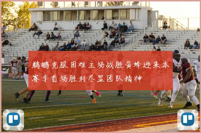 鹈鹕克服困难主场战胜黄蜂迎来本赛季首场胜利尽显团队精神
