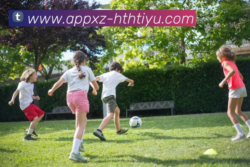 多媒体互动体验